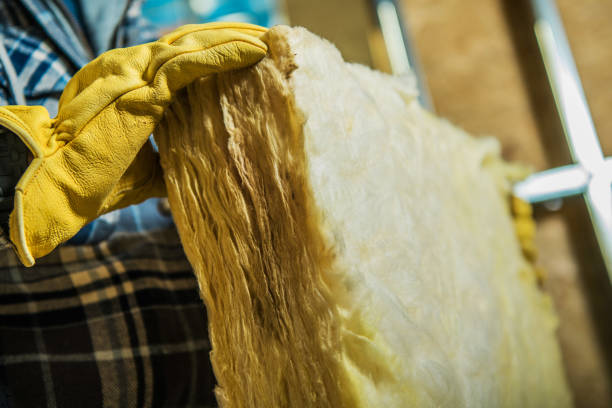 Best Insulation Maintenance and Repair in China, TX